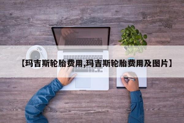 【玛吉斯轮胎费用,玛吉斯轮胎费用及图片】