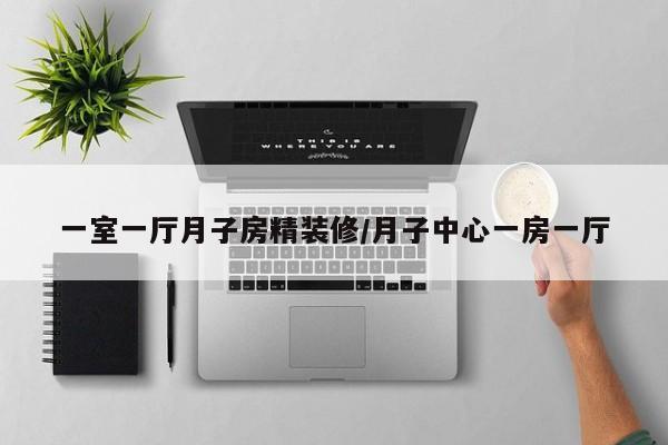 一室一厅月子房精装修/月子中心一房一厅