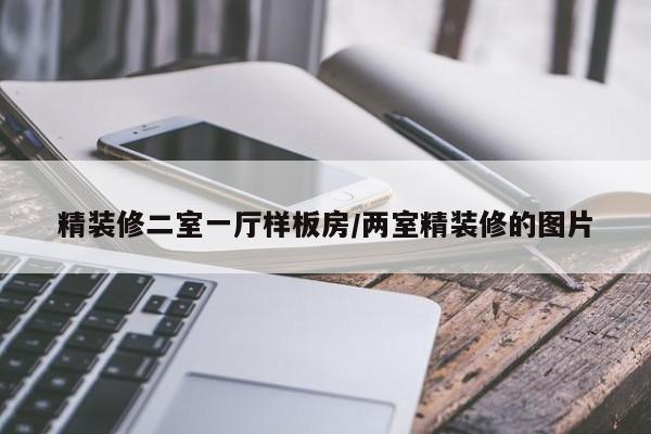 精装修二室一厅样板房/两室精装修的图片