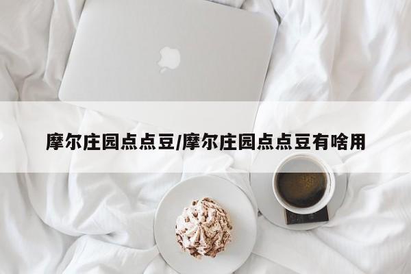 摩尔庄园点点豆/摩尔庄园点点豆有啥用