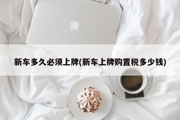 新车多久必须上牌(新车上牌购置税多少钱)