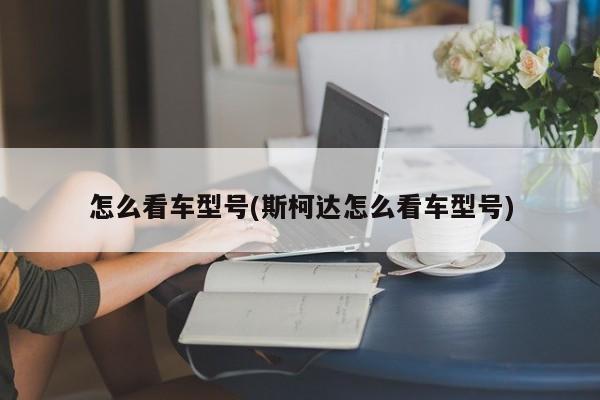 怎么看车型号(斯柯达怎么看车型号)
