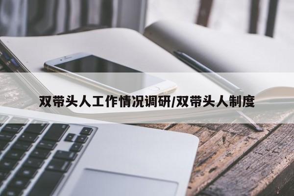 双带头人工作情况调研/双带头人制度