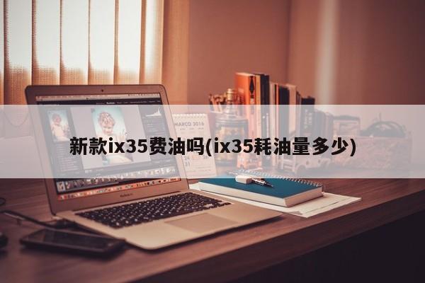 新款ix35费油吗(ix35耗油量多少)