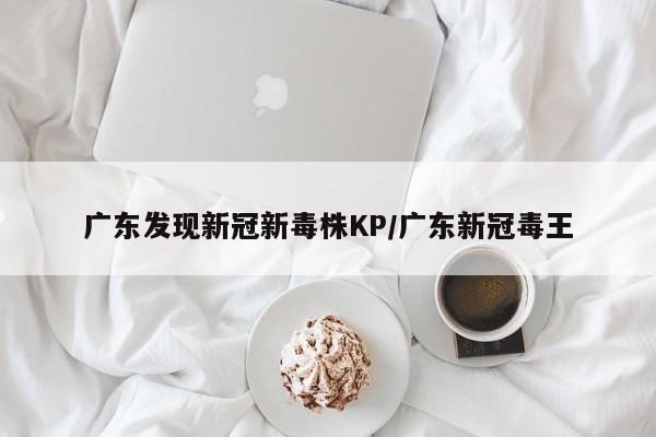 广东发现新冠新毒株KP/广东新冠毒王