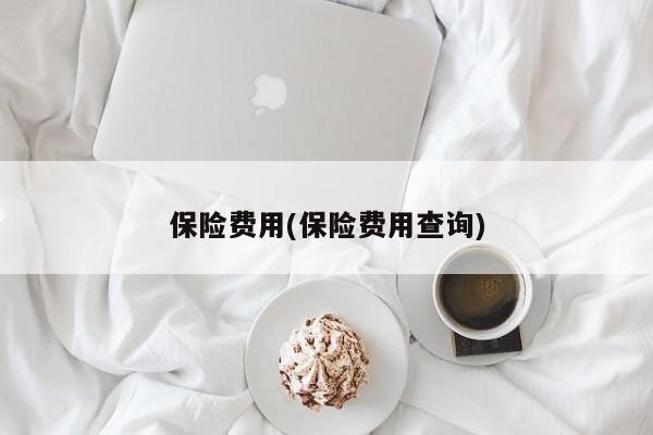 保险费用(保险费用查询)