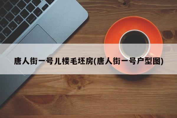 唐人街一号儿楼毛坯房(唐人街一号户型图)