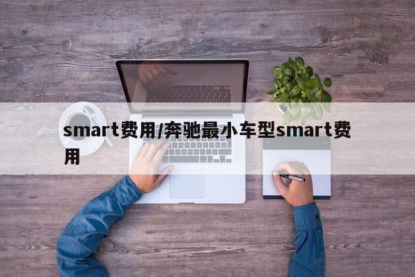 smart费用/奔驰最小车型smart费用