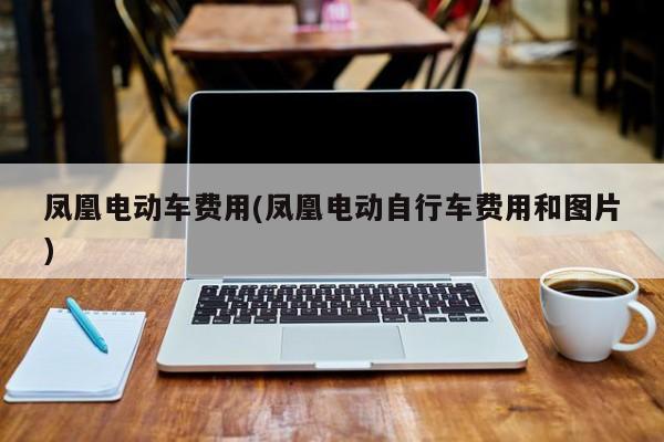 凤凰电动车费用(凤凰电动自行车费用和图片)
