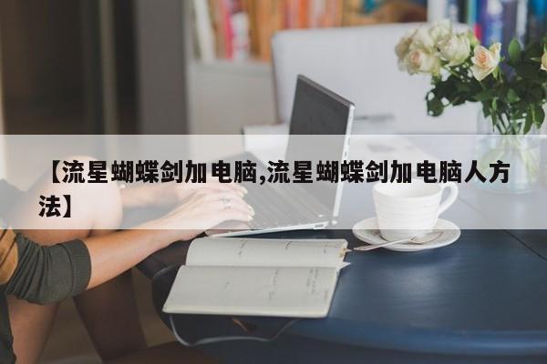 【流星蝴蝶剑加电脑,流星蝴蝶剑加电脑人方法】