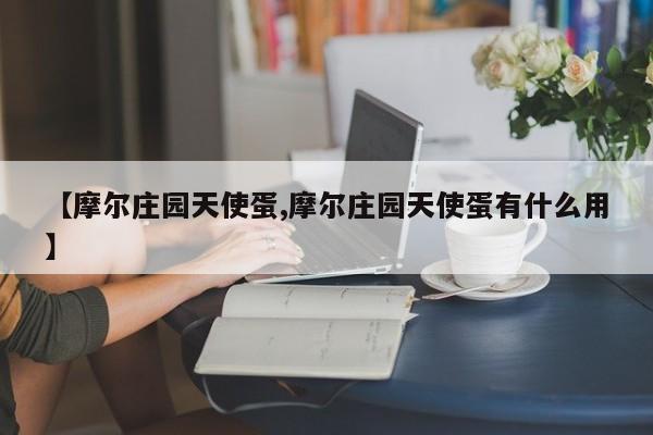 【摩尔庄园天使蛋,摩尔庄园天使蛋有什么用】