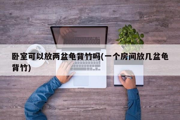 卧室可以放两盆龟背竹吗(一个房间放几盆龟背竹)