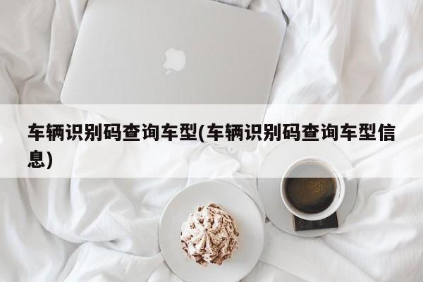 车辆识别码查询车型(车辆识别码查询车型信息)