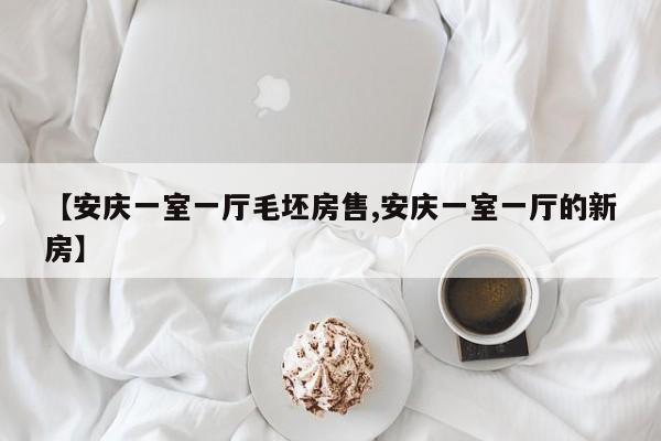 【安庆一室一厅毛坯房售,安庆一室一厅的新房】