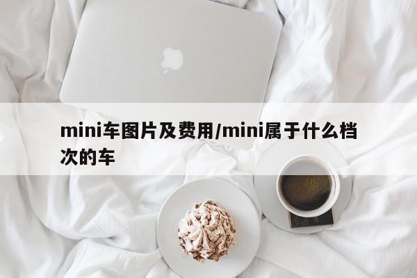 mini车图片及费用/mini属于什么档次的车