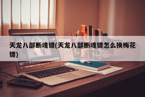 天龙八部断魂镖(天龙八部断魂镖怎么换梅花镖)