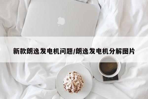 新款朗逸发电机问题/朗逸发电机分解图片
